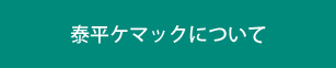 泰平ケマックについて