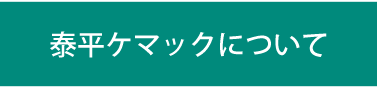 泰平ケマックについて