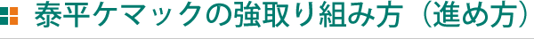 泰平ケマックの強取り組み方（進め方）